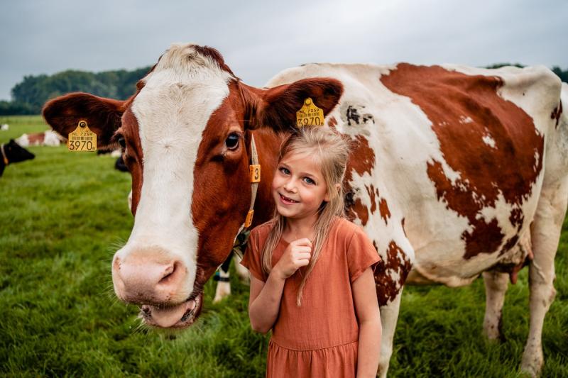 op de boerderij    